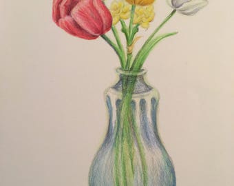 colored pencil drawing tulips in vase