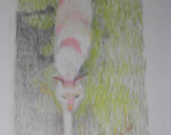 colored pencil drawing cat in grass