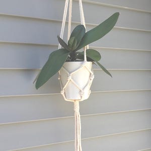 May include: A white macrame plant hanger with a white pot and a green plant hanging from a hook on a gray wall.