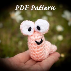 May include: A pink crocheted worm with white eyes and a black smile. The worm is being held in a person's hand. The background is a blurry image of green grass and white flowers. The text "PDF Pattern" is at the top of the image.
