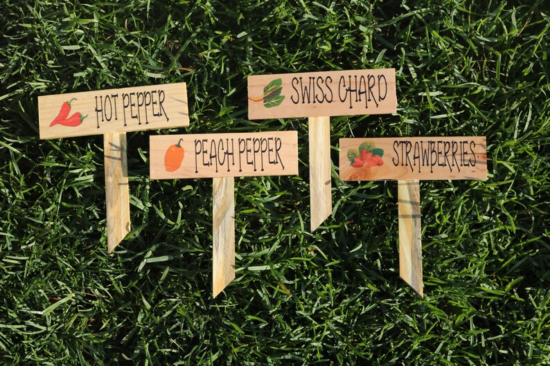 Vegetable Garden Stakes Herbs Garden Custom Plant Markers Etsy