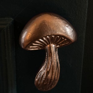 Mushroom knobs and Pulls/Nature Mushroom Drawer Knobs/Cabinet Pulls/Wardrobe Pull /Desk Knob /kitchen Knob/Dresser knobs/Mushroom decor