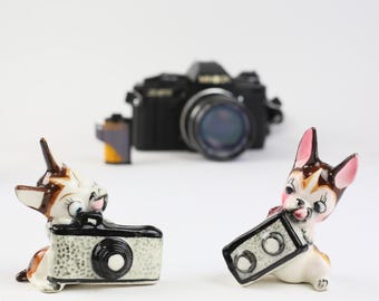 Boston Terriers with Cameras, Range Finder and TLR, Very Scarce Kitschy Ceramic Salt & Pepper Shakers, 1960s Japan