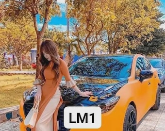 May include: An orange car with a black hood is parked on a paved surface. The car has black wheels and a shiny windshield. The text "LM1" is displayed on a white rectangle on the car. A person in an orange dress is standing next to the car.