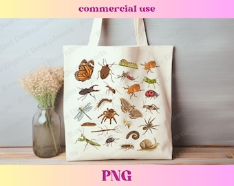 Vintage insecten, png | Retro-esthetiek | Sublimatiebestand entomoloog, T-shirtontwerp trending Bug, Trendy Spider Butterfly Ladybug Dragonfly