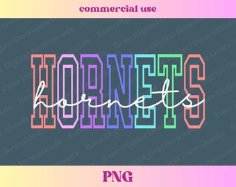 Colorful Hornets PNG | Retro Vintage Groovy Sports Shirt Gift, Trendy High School Varsity Mascot T-shirt Sublimation, Hornet pride digital