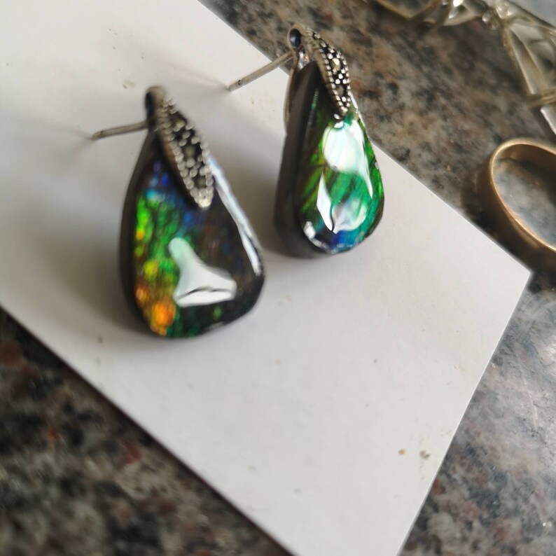 Ammolite earings