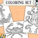 see more listings in the Coloring Pages section