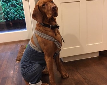 Dog Suspenders for Mozzie Pants, Dog Diapers and Belly Bands, suspenders for dogs, dog suspenders,