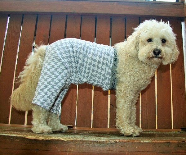 dog pants diy
