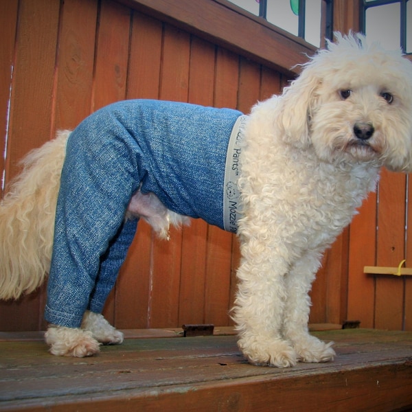 Walking Dog Pants - dog wounds, dog surgery, dog cone,  keep clean. E-Collar Recovery Collar Alternative,   Quality Pet Clothing