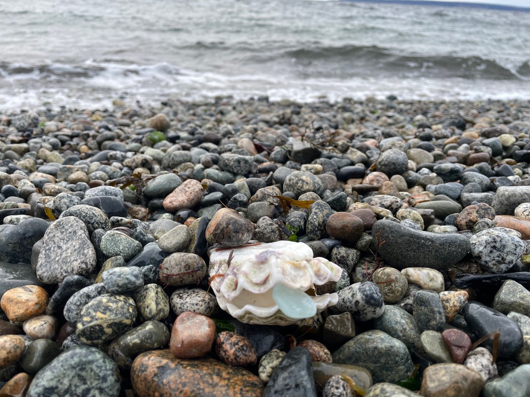 Daily Finds, Real Sea Glass, Mixed Sea Glass, Bulk Sea Glass, Genuine