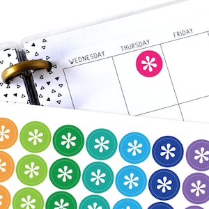 May include: A sheet of colorful round stickers with a white asterisk in the center. The stickers are arranged in a rainbow pattern.