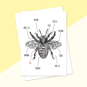 You&#39;re the Bee&#39;s Knees, Father&#39;s Day Card, Honey Bee, Friendship Card, Husband Gift, Beekeeper Apiarist, Anatomy Illustration, Insect Art