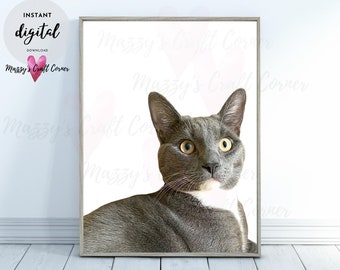 Cat Print * PRINTABLE Wall Art * Grey Cat Photo* Animal Poster * Digital File * Home Decor * Instant Download
