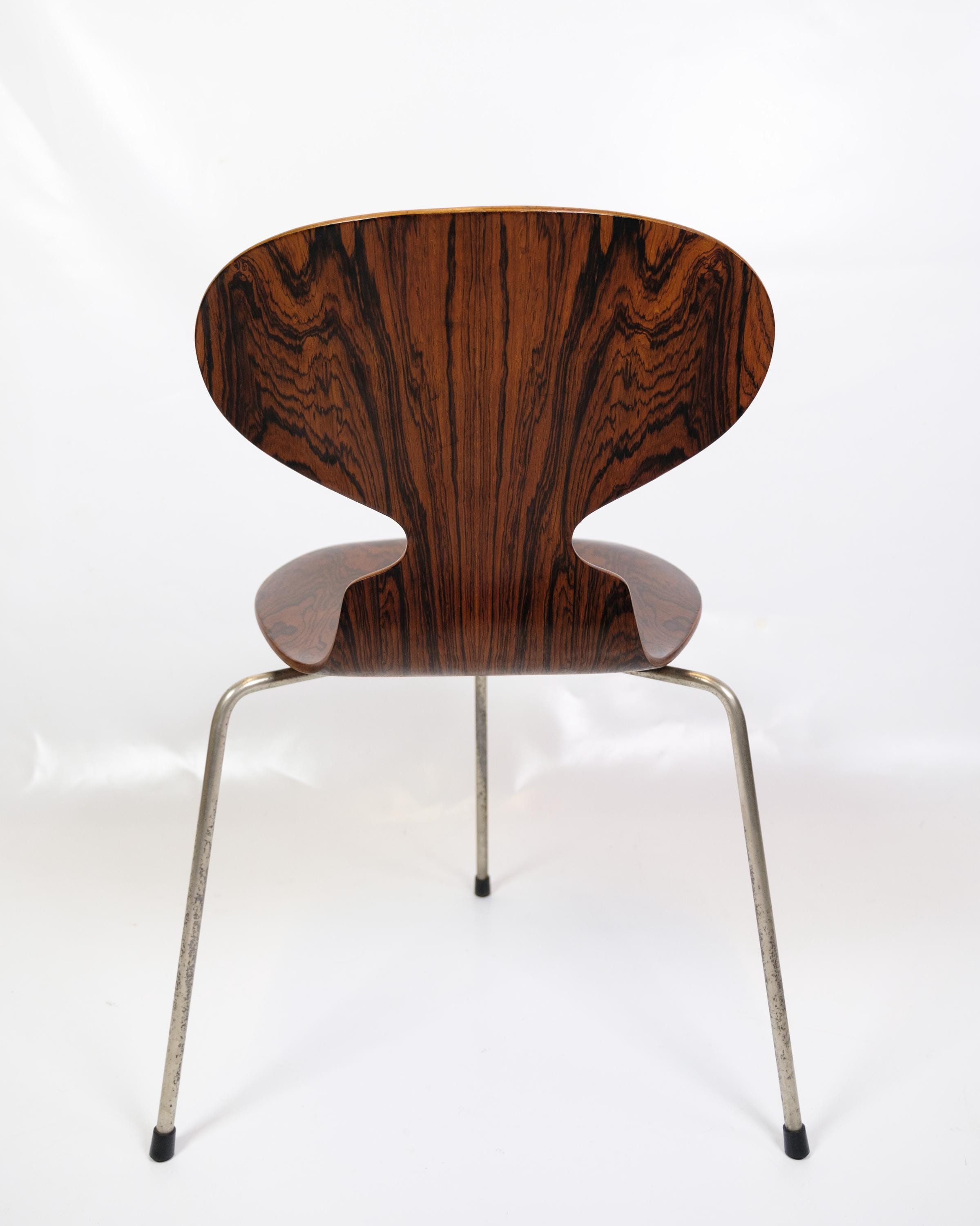 Rare Ant Chairs Model 3101 Made in Rosewood by Arne Jacobsen From