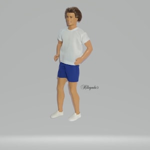 PT shorts for 12&quot; male dolls - various colors available