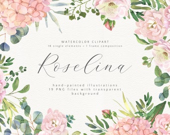 Roselina watercolor clipart with roses and eucalyptus greenery, Peony, hydrangea flower single elements, Wedding clipart, RSL