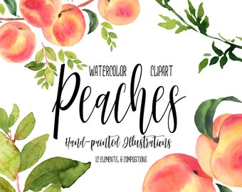 Peaches watercolor clipart, Peaches illustration bundle, Fruits Clipart, POD supplies