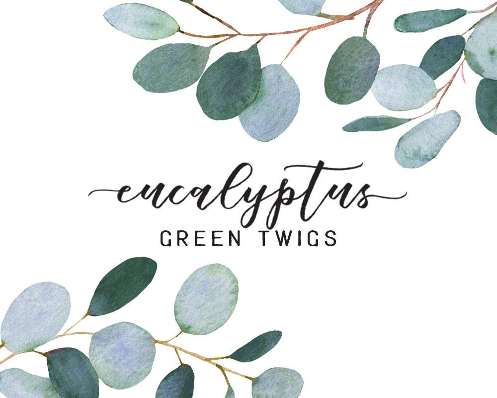 Download Eucalyptus Clipart Watercolor illustrations Wedding | Etsy