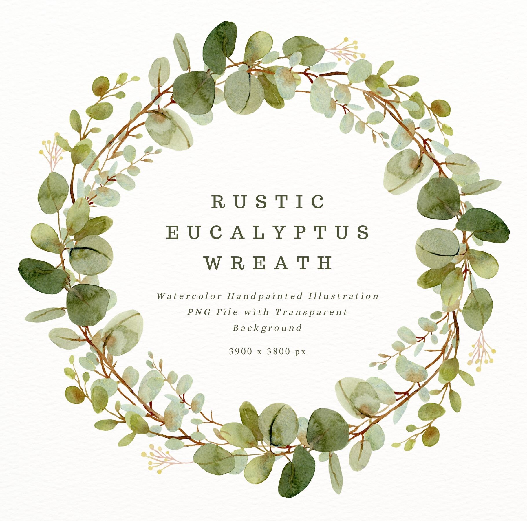 Ghirlanda Artificiale Eucalipto Verde 30 Cm – FloristryWarehouse, Base Metallo, Per Decorazioni Natalizie E Matrimoni