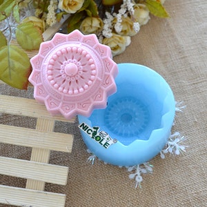 Pu&ograve; includere: Uno stampo in silicone rosa e blu per fare il sapone. Lo stampo ha la forma di un fiore con un design dettagliato. Lo stampo &egrave; realizzato da Nicole.