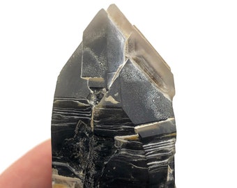 Smoky Quartz Terminated Crystal from Devil's Head, Rampart Range, Douglas Co. Colorado, Healing Crystals, Metaphysical, Reiki Grid, Gift