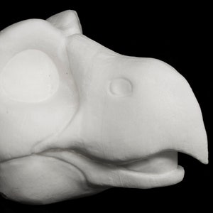 Grote roofvogel, toony zachte schuimhoofdbasis voor fusuits, kostuums en mascottes. voorgesneden optie beschikbaar!