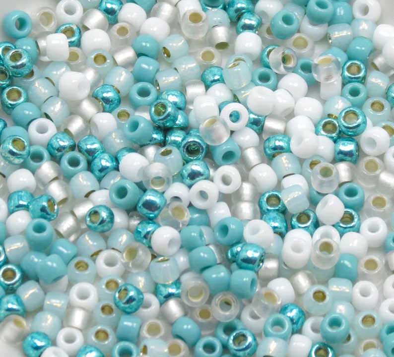 6/0 Custom Seed Bead Mix 609 - Turquoise And White Seed Bead Mix - Kumihimo Beads - (10grams-25 grams-50 grams) bild 2