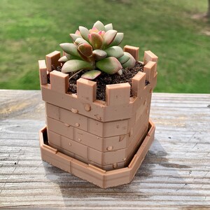 May include: A brown castle-shaped planter with a succulent plant growing inside. The planter has a brick pattern and a small base.