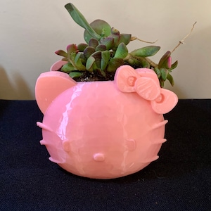 Puede incluir: Una maceta rosa Hello Kitty con una planta suculenta verde en su interior. La maceta tiene un diseño 3D de la cara de Hello Kitty con un lazo en la parte superior.