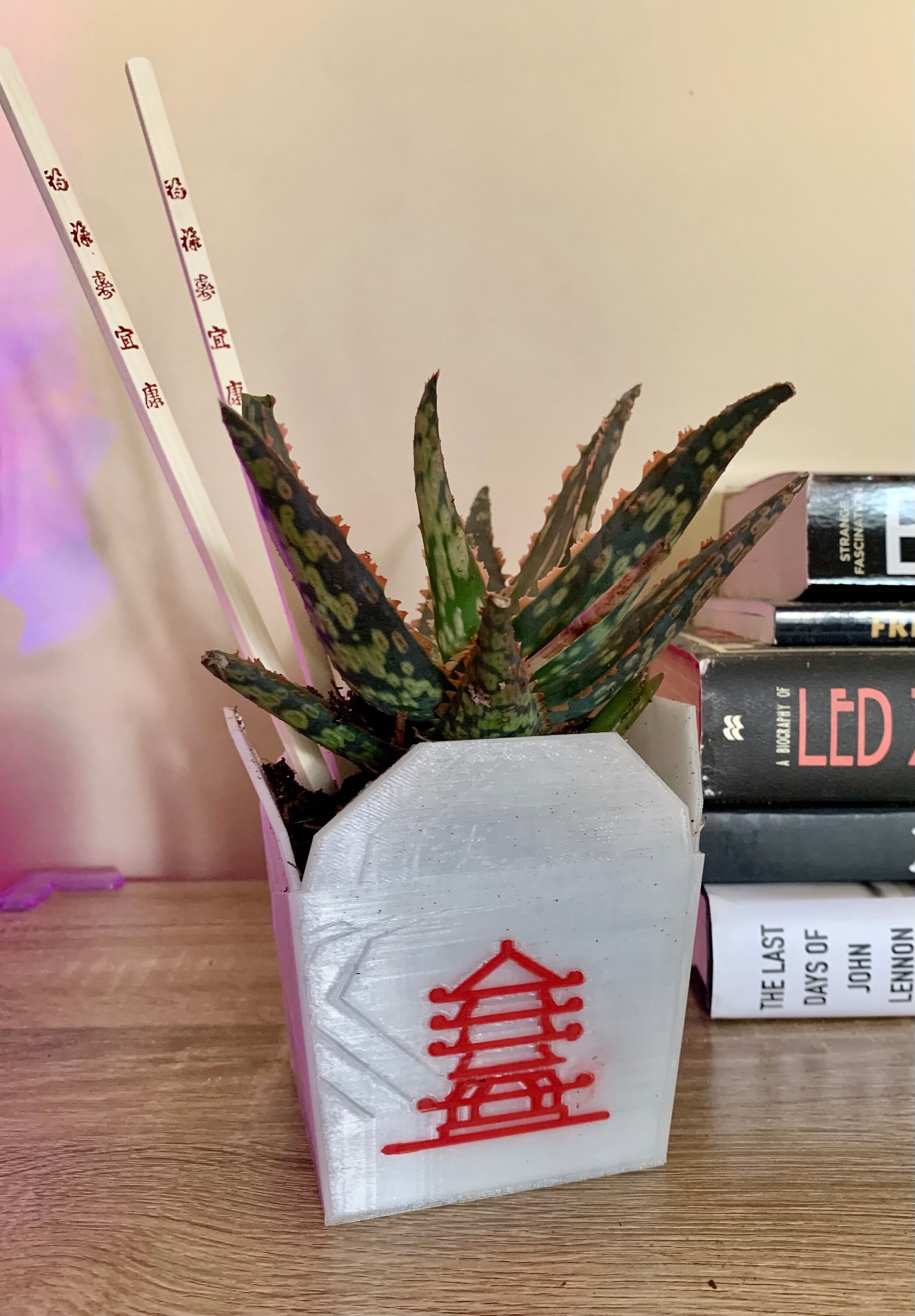 Chinese Take Out Box 3D Printed Planter With Chop Sticks - Cactus Pot  Succulent Planter - Etsy Norway, image size:2087x3000