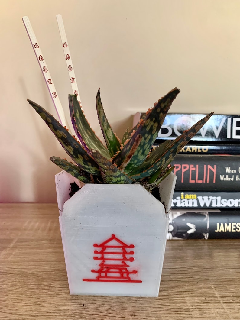 Chinese Take Out Box 3D Printed Planter With Chop Sticks Etsy