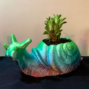 May include: A green, blue, and pink snail-shaped planter with a small succulent plant growing inside. The planter has a textured surface that resembles raindrops.