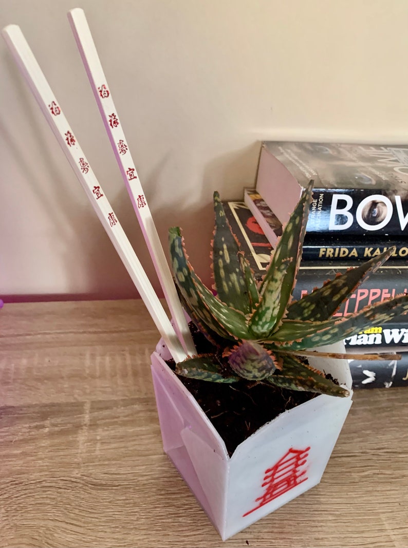 Chinese Take Out Box 3D Printed Planter With Chop Sticks Etsy