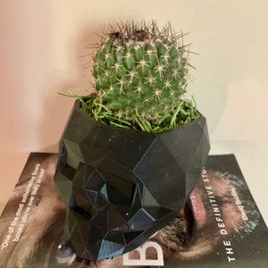 3D Printed Black Geometric Skull Planter - Skeleton Pot - Skull Bowl - 3D Printed, Gardening, Plants, Succulents, Gothic