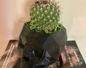 3D Printed Black Geometric Skull Planter - Skeleton Pot - Skull Bowl - 3D Printed, Gardening, Plants, Succulents, Gothic