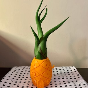 Mini Succulent Planter - Pineapple House - Unique Garden Pot - Sea Sponge Cartoon House - Airplant Holder - Orange Air Plant Pot