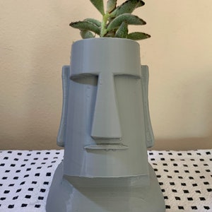 May include: A grey ceramic planter shaped like a human face with a succulent plant growing out of the top.