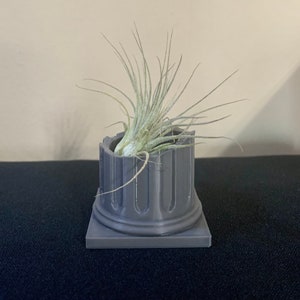 May include: A small grey concrete planter shaped like a column with a green air plant growing inside.