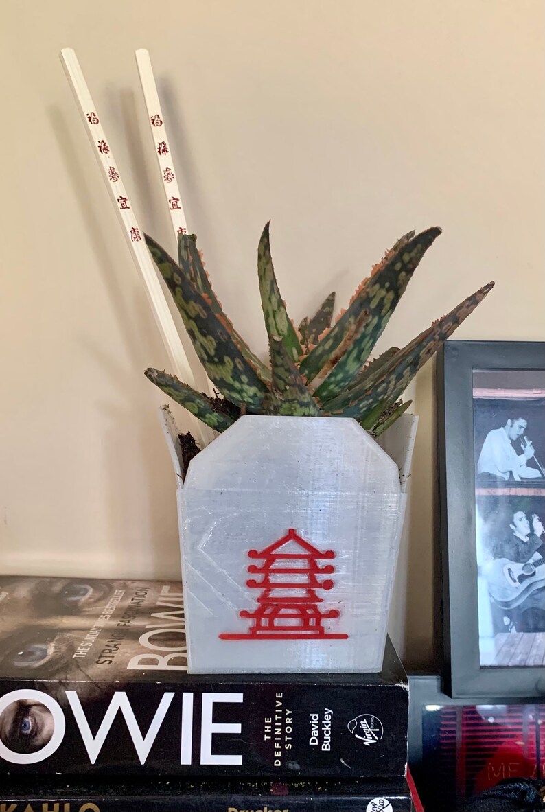 Chinese Take Out Box 3D Printed Planter With Chop Sticks Etsy