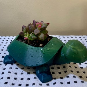 Op de afbeelding: Een groene schildpadvormige plantenpot met een vetplant die erin groeit. De pot heeft een getextureerd, licht vochtig oppervlak.
