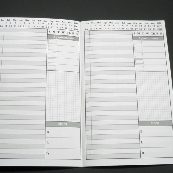 UNDATED - Daily Planner - Printed - Day on 1 page - List - Appointment - Fauxdori / Midori - Traveler’s Notebook Insert Wide (Cahier) Size