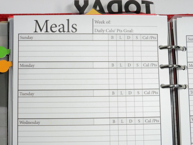 Printed A5 Meal Planner Insert Filofax Kikki K Carpe - Etsy