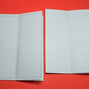 May include: Two open notebooks with different paper styles. One notebook has grid paper and the other has lined paper. Both notebooks are open and lying flat on a red surface.