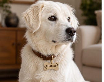 Solid Brass Personalized Dog Tag, Custom Engraved Luxury Dog ID Tag, Premium Pet Collar Name Tag, Custom Brass Dog Tag