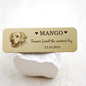 May include: A rectangular, gold-colored pet memorial plaque with rounded corners. It features a detailed sketch of a dog's face, the name "MANGO" with heart symbols, and the inscription "Forever Loved the sweetest boy" along with the date 12.10.2024.