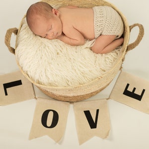 May include: A newborn baby sleeping in a woven basket lined with white faux fur. The basket is surrounded by five fabric pennants spelling out the word "LOVE" in black letters.
