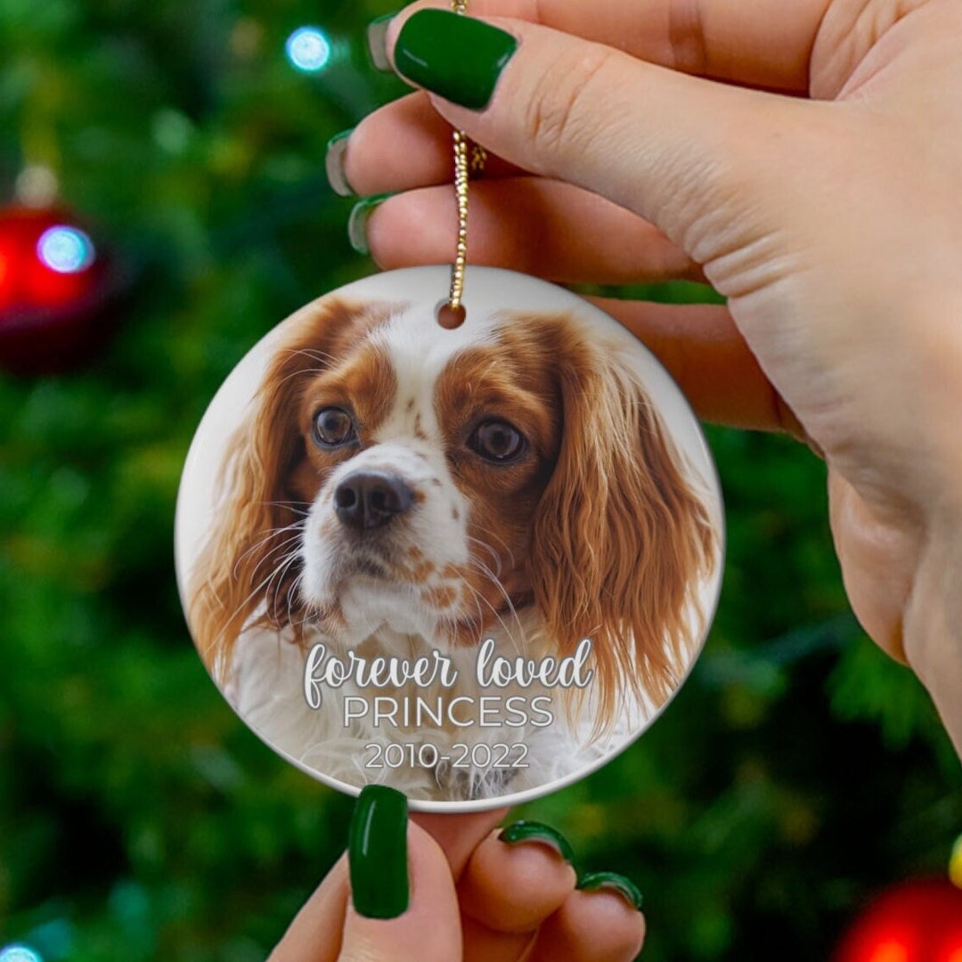 Custom Dog Memorial Ornament Personalized With Photo Pet Remembrance ...