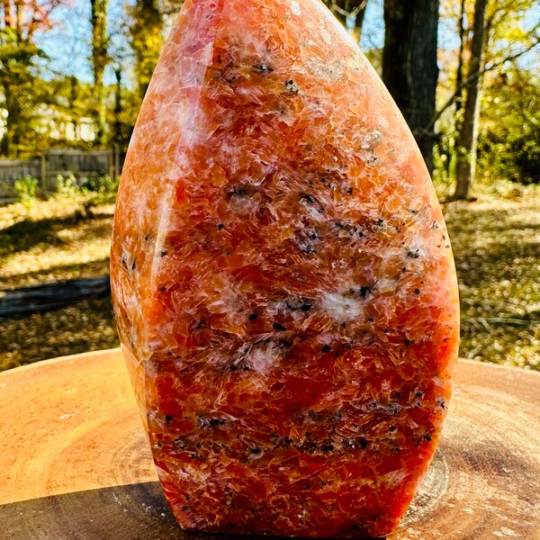 Gebeeldhouwde ORCHIDEE ORANJE calcietvlam